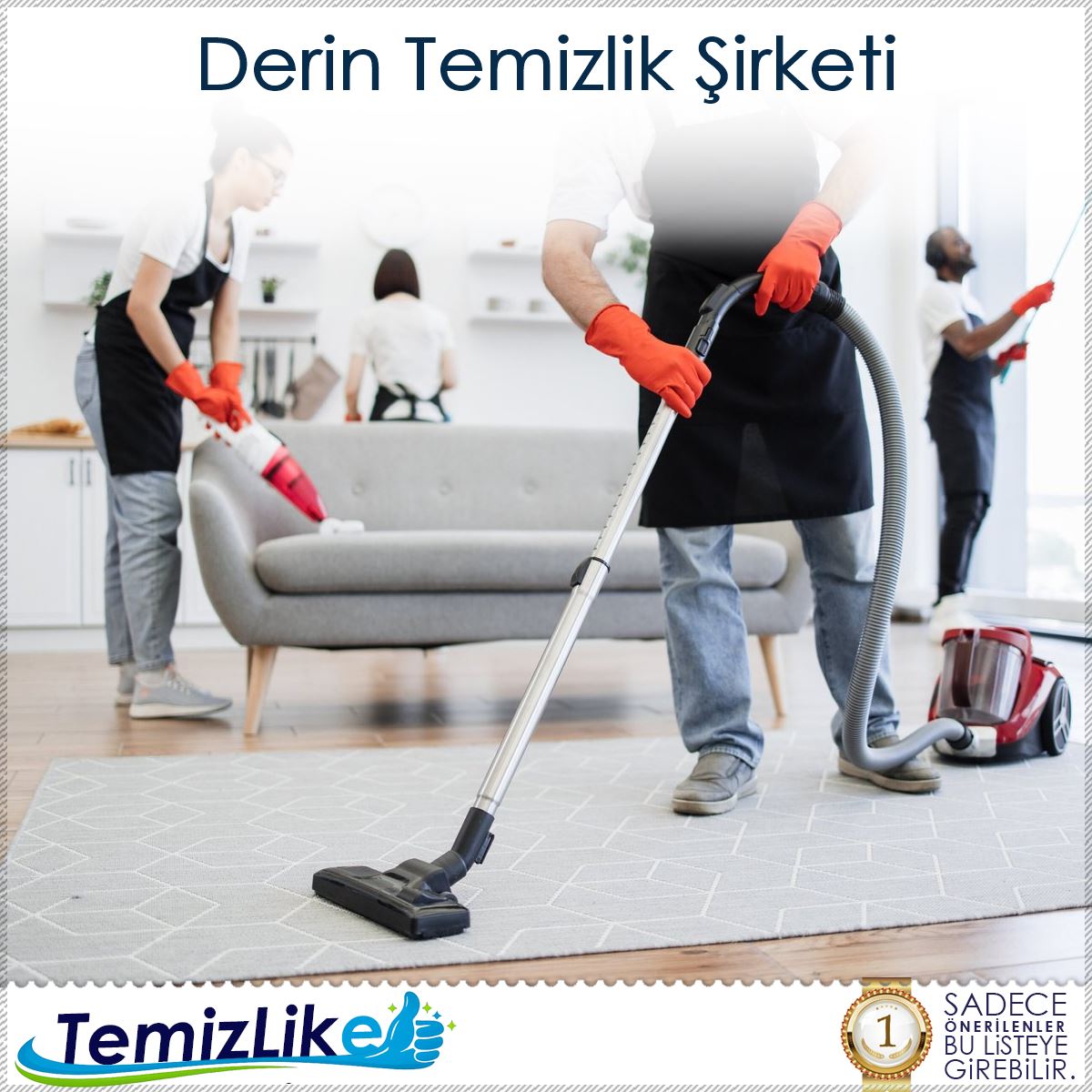 Derin Temizlik Şirketi