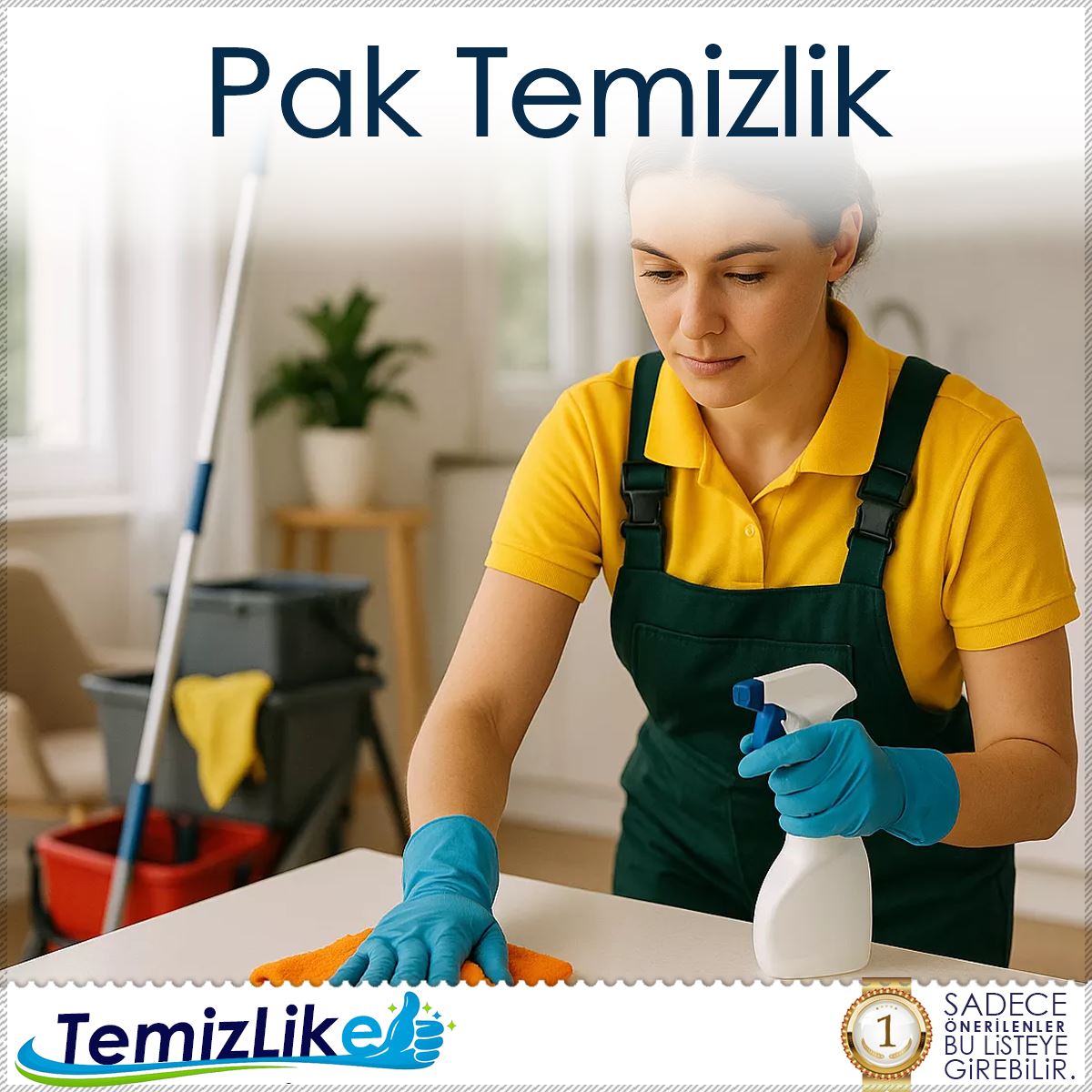 Pak Temizlik