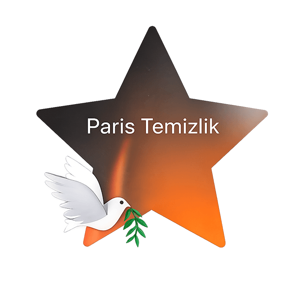 Paris Temizlik Şirketi